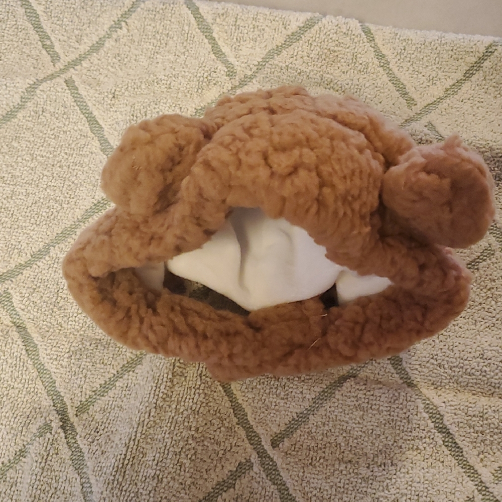 Teddy Bear Hat For Pets